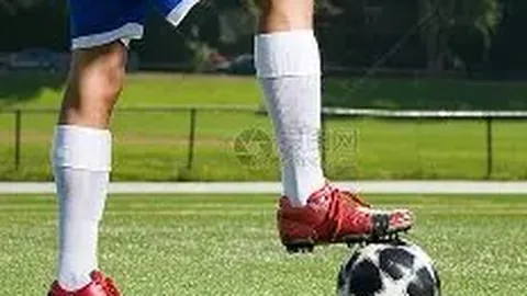 林心如代表就工作室注销一事作出解释：系资源优化重组