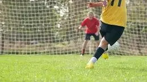 米乐体育 资讯 103529 swt