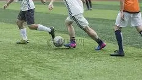 米乐体育 资讯 103934 cj5